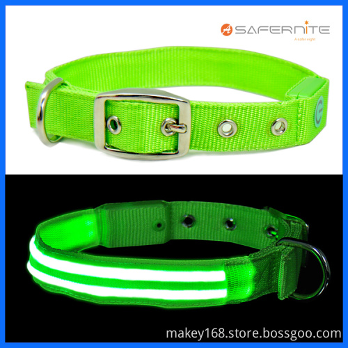 Night Fluorescent Lighted Dog Collar And Leash